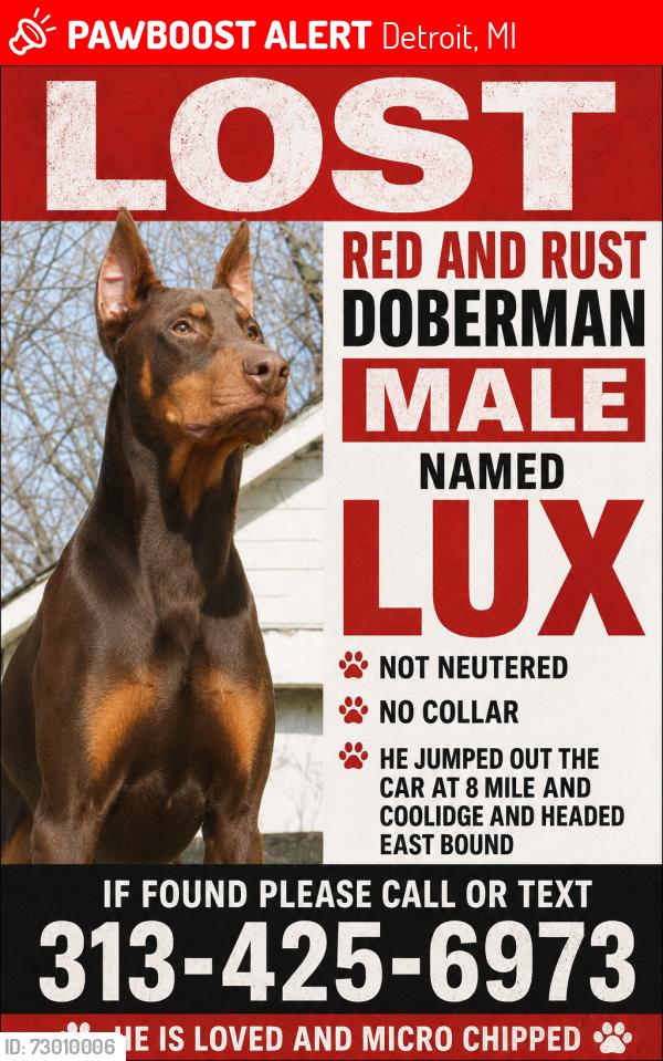 Lost Male Dog last seen West 8 mile and Coolidge , Detroit, MI 48235