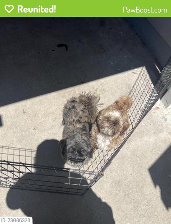 Reunited Male Dog last seen Brook Way, San Pablo, CA 94806, USA, San Pablo, CA 94806
