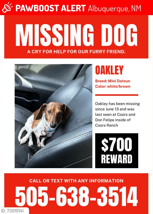 Lost Female Dog last seen Coors amd Don Felipe, Albuquerque, NM 87121