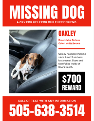 Lost Female Dog last seen Coors amd Don Felipe, Albuquerque, NM 87121
