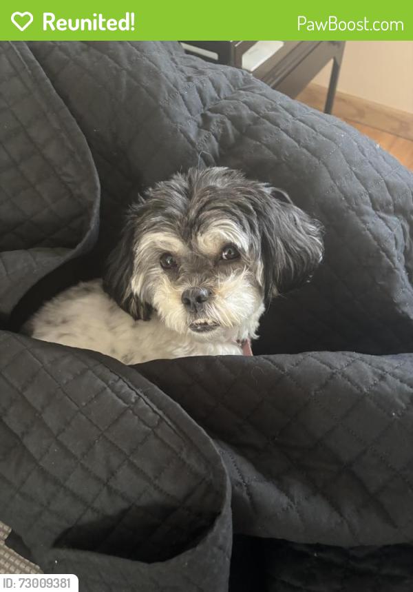 Reunited Female Dog last seen Near Chopek Ln, Waldwick, NJ 07463