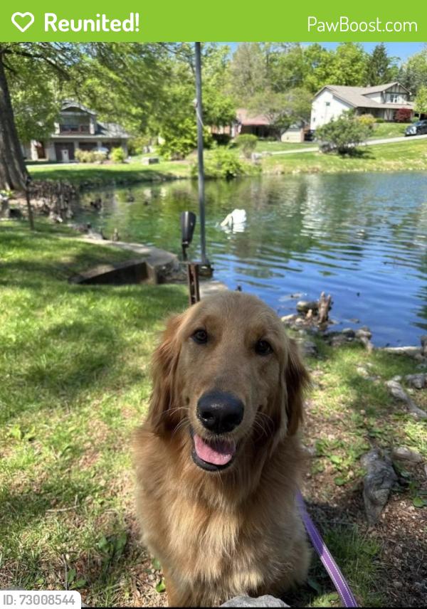 Reunited Female Dog last seen Saw Mill Way, Saint Charles, MO 63303