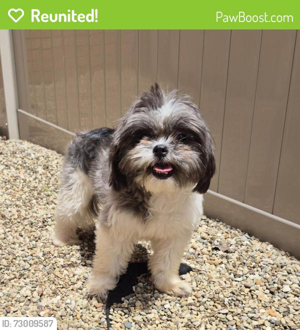 Reunited Unknown Dog last seen South Euclid Police Department , South Euclid, OH 44124