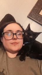 Lost Male Cat last seen Near price rd Eden nc, Eden, NC 27288