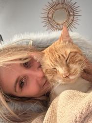 Lost Male Cat last seen Normandy apmts, Wauwatosa, WI 53226