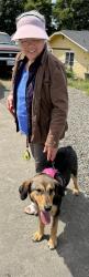 Reunited Female Dog last seen East George street an Roosevelt Ave , Tacoma, WA 98404