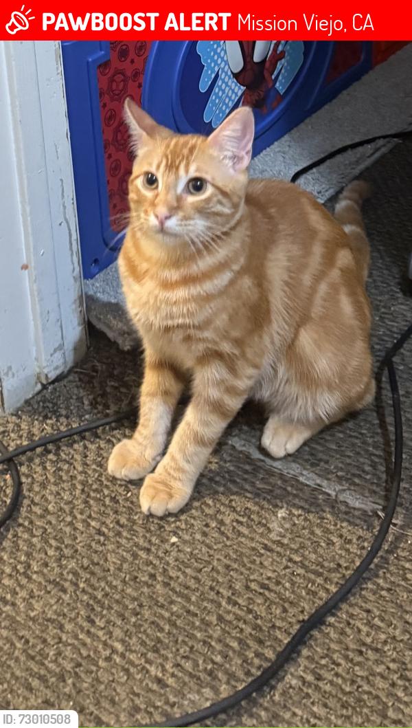 Lost Male Cat last seen Via Octavo , Mission Viejo, CA 92691