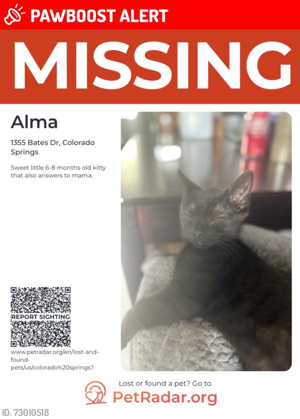 Lost Female Cat last seen Circle & Palmer Park, Colorado Springs, CO 80909
