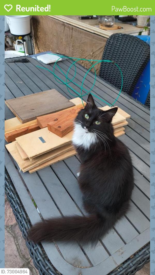 Reunited Female Other last seen Roos elt a e, Richmond, CA 94801