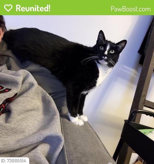 Reunited Male Cat last seen Arrowhead and Six Mile Rd , Sioux Falls, SD 57110