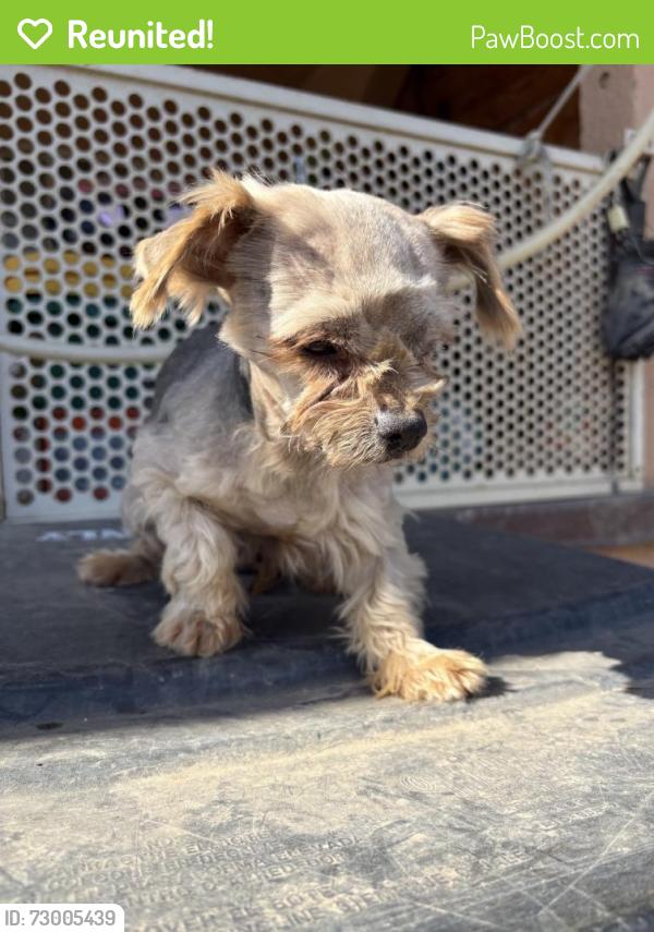Reunited Male Dog last seen molino way and rubidoux, Jurupa Valley, CA 91752