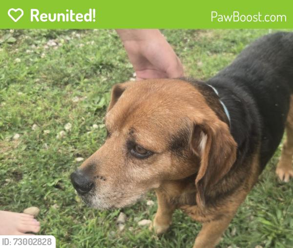 Reunited Unknown Dog last seen Location , Rosedale, IN 47874