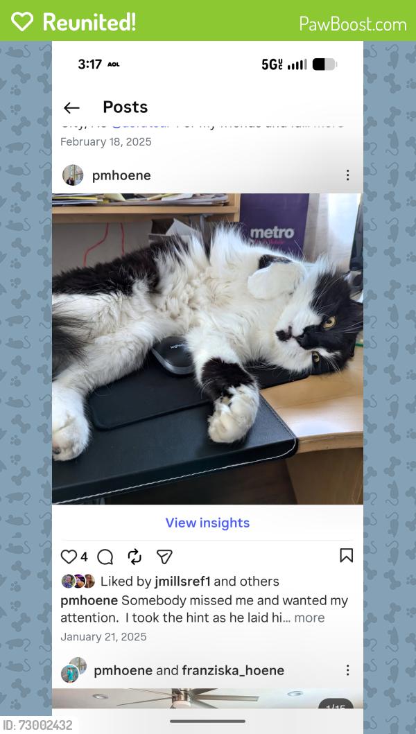 Reunited Male Cat last seen Harrison Ave and North Warren Street, Woburn, Woburn, MA 01801