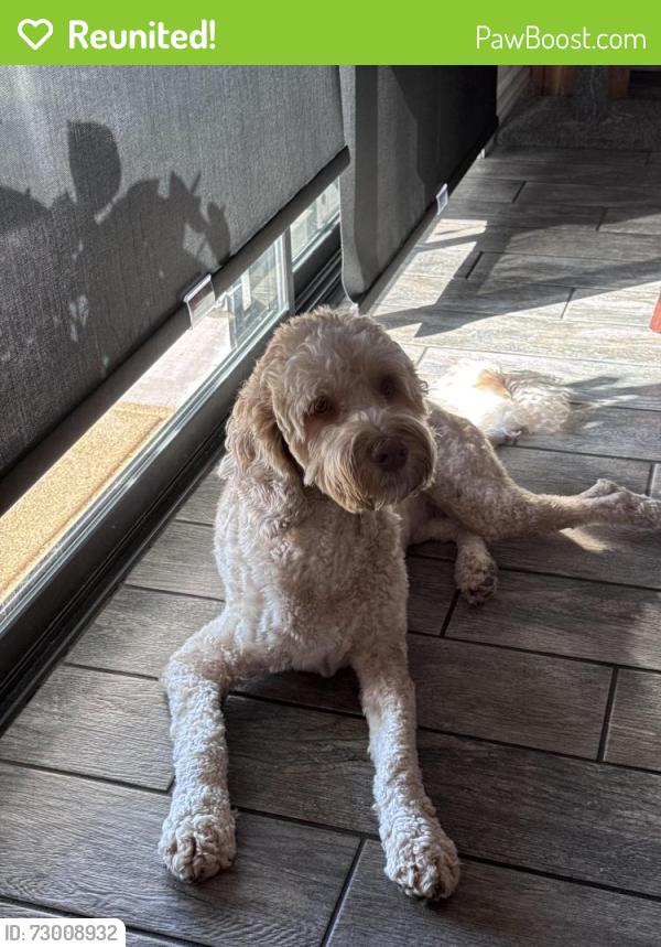 Reunited Male Dog last seen Champlain, Oceanside, CA 92056