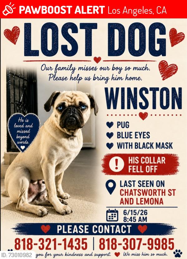 Lost Male Dog last seen Chatsworth and lemona, Los Angeles, CA 91345