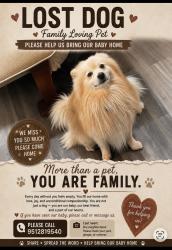 Lost Male Dog last seen Tamarind and Alder, Fontana, CA 92335