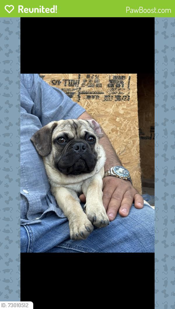 Reunited Male Dog last seen County rd 525, Mansfield, TX 76063