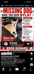 Lost Female Dog last seen 42nd and 56th Avenue , West Park, FL 33021