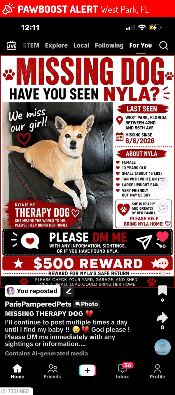 Lost Female Dog last seen 42nd and 56th Avenue , West Park, FL 33021