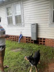 Lost Male Dog last seen Thames Street, Greenville, AL 36037