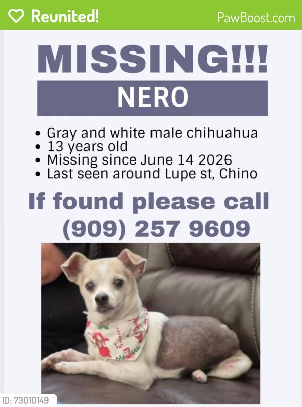 Reunited Male Dog last seen Roswell/shafer, Chino, CA 91710