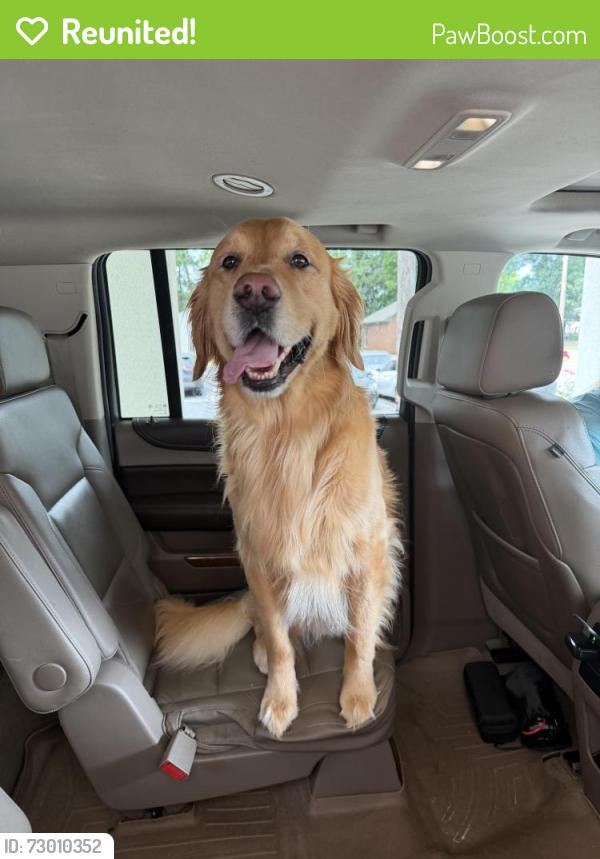 Reunited Male Dog last seen End of Fulton Rd , Columbus, GA 31820