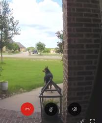 Found/Stray Unknown Dog last seen Taylor Ridge Dr, Waxahachie, TX 75167