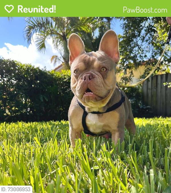 Reunited Female Dog last seen Running towards 33rd ave, Vero Beach, FL 32966
