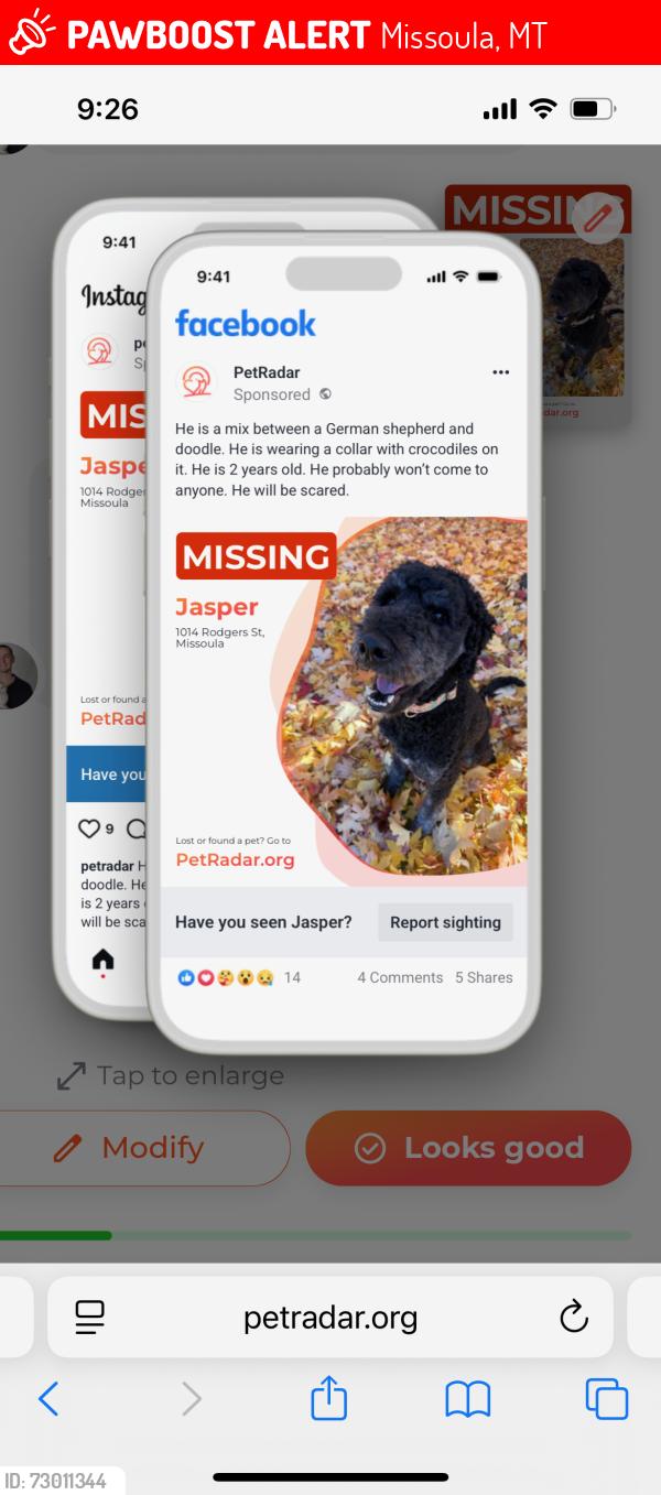 Lost Male Dog last seen Scott St near overpass, Missoula, MT 59802