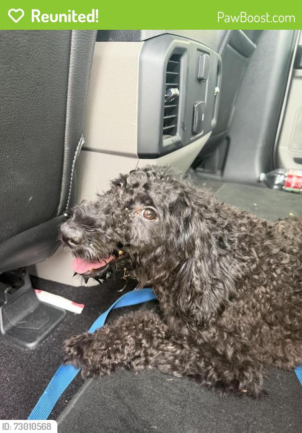 Reunited Unknown Dog last seen Division street , Arlington, TX 76010