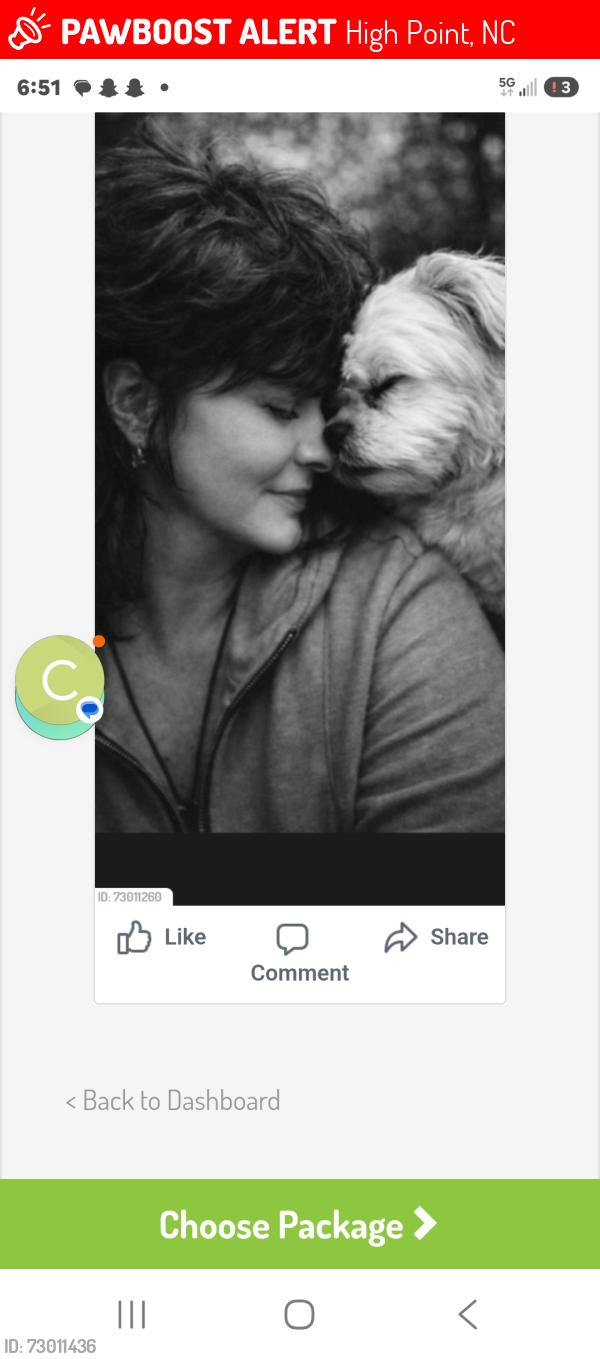 Lost Male Dog last seen Main st, High Point, NC 27260