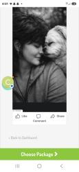 Lost Male Dog last seen Main st, High Point, NC 27260