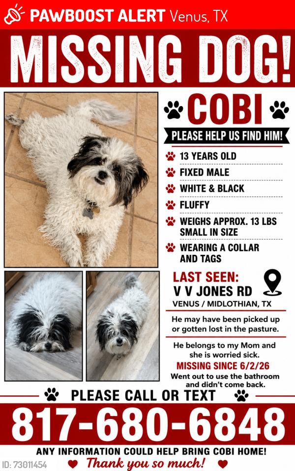 Lost Male Dog last seen Forbes Rd/V V Jones Rd, Venus, TX 76084