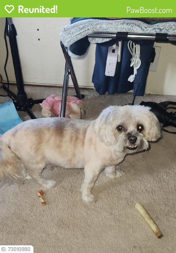 Reunited Male Dog last seen Near Curtner Ave, San Jose, CA 95125, USA, San Jose, CA 95125