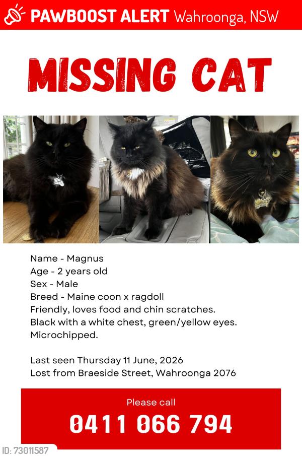 Lost Male Cat last seen braeside street, wahroonga, Wahroonga, NSW 2076