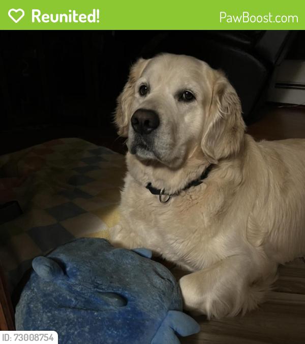 Reunited Male Dog last seen Neanda St, New Britain, CT, New Britain, CT 06053