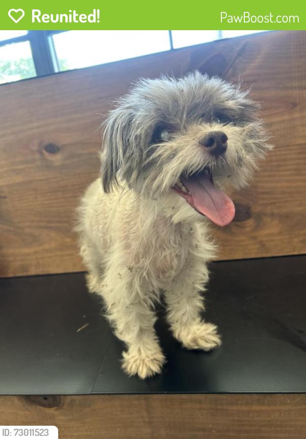 Reunited Female Dog last seen Marion’s Sampson park, Fort Worth, TX 76114