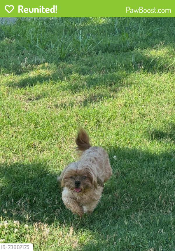 Reunited Female Dog last seen Planters row drive, Charlotte, NC 28278