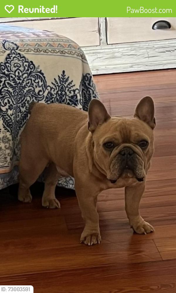 Reunited Male Dog last seen Riviera Dr, San Diego, CA 92109