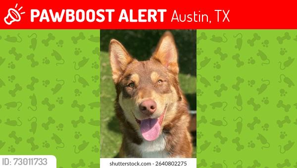 Lost Male Dog last seen bantom woods bend and woodland hills, Austin, TX 78724