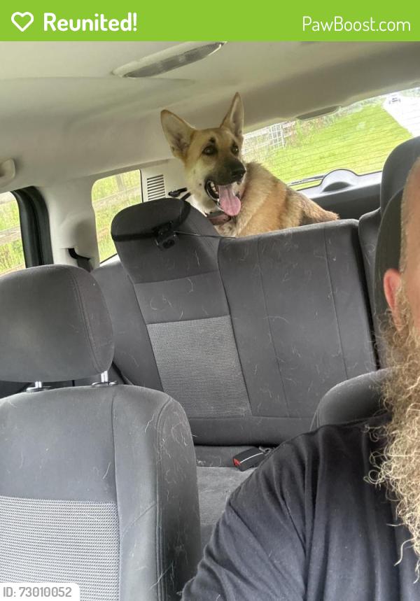 Reunited Unknown Dog last seen Doug Price and John Bailey Rd where they cross, Blountstown, FL 32424