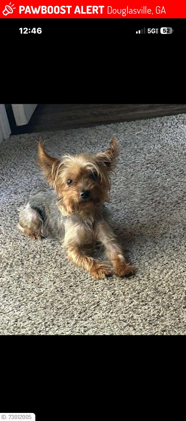 Lost Male Dog last seen Bomar Rd, Douglasville, GA 30135