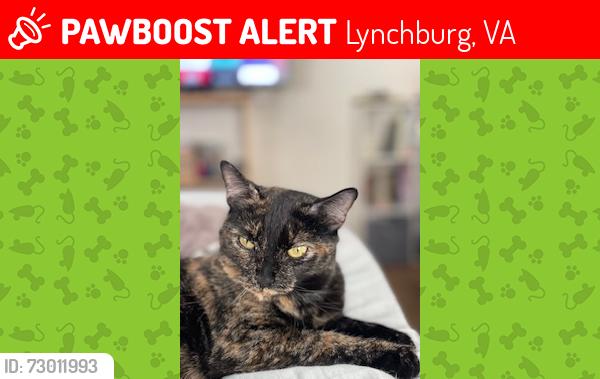 Lost Female Cat last seen Cary town , Randolph Area, Richmond, VA 23219
