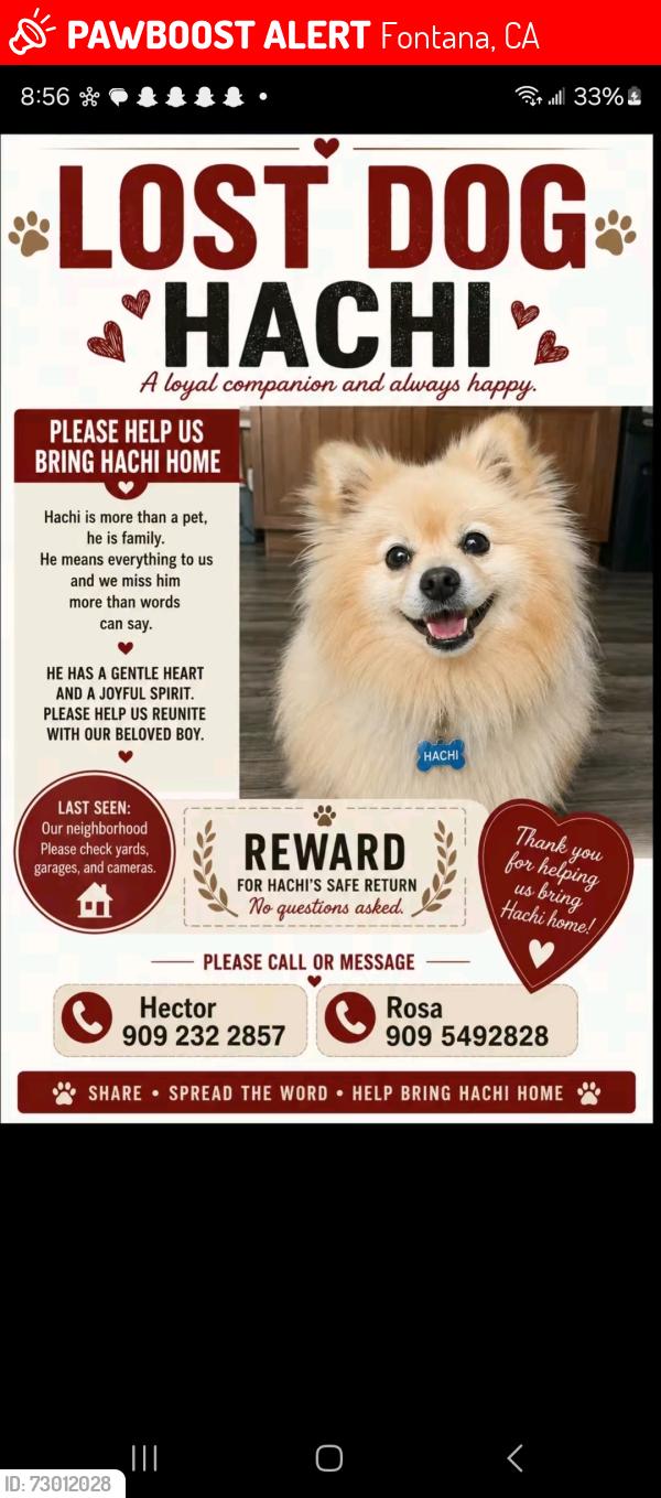 Lost Male Dog last seen Tamarind and Alder, Fontana, CA 92335