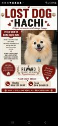 Lost Male Dog last seen Tamarind and Alder, Fontana, CA 92335