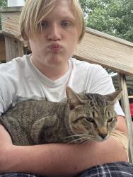 Lost Male Cat last seen Morgan's Auto, Kingsport, TN 37664