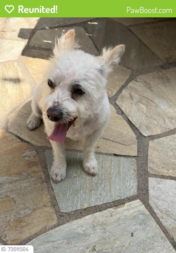 Reunited Female Dog last seen Torrey Del Mar , San Diego, CA 92129