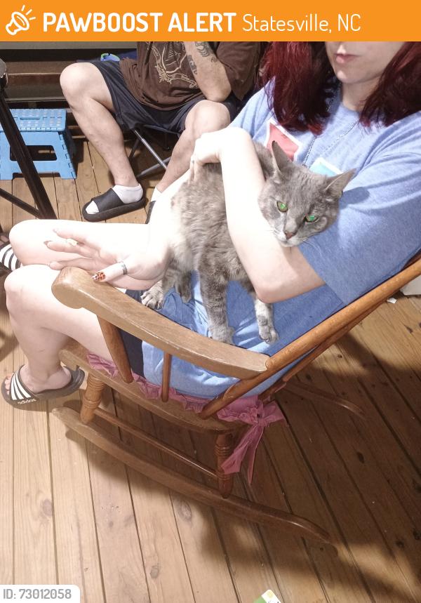 Found/Stray Male Cat last seen River Hill , Statesville, NC 28625
