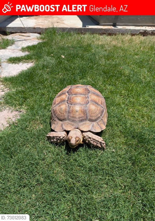 Lost Male Other last seen Sunset palms park, Glendale, AZ 85308