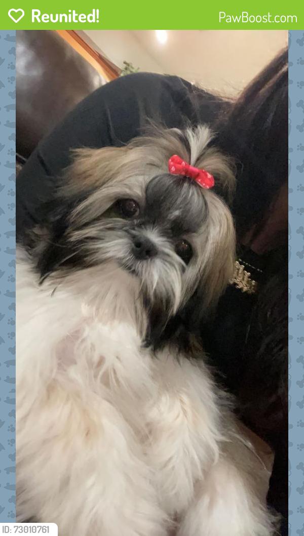 Reunited Female Dog last seen Joe rd headed towards CR 89, Pearland, TX 77584
